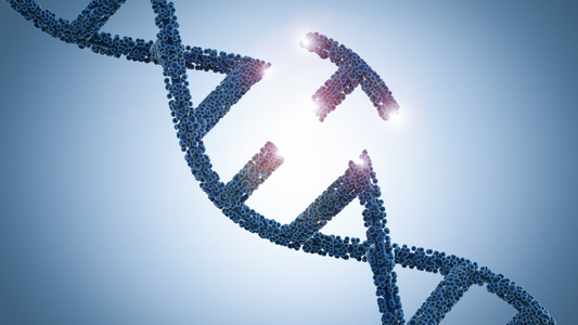 Is-it-Your-Genetic-Destiny Planit Club