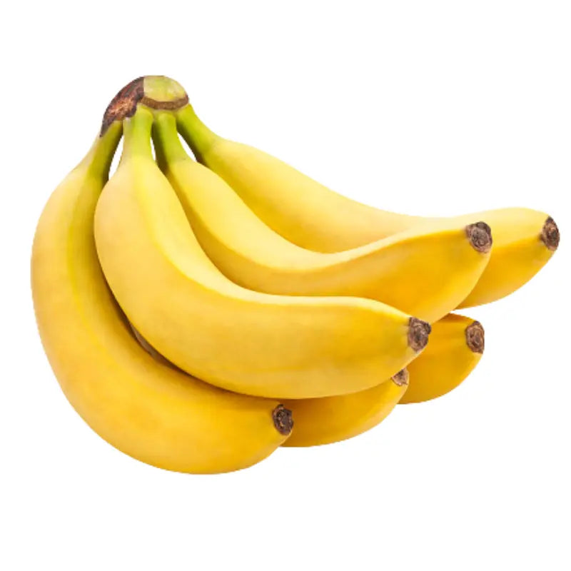 Banana Cavendish Planit Club
