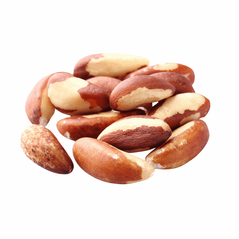 Brazil Nuts