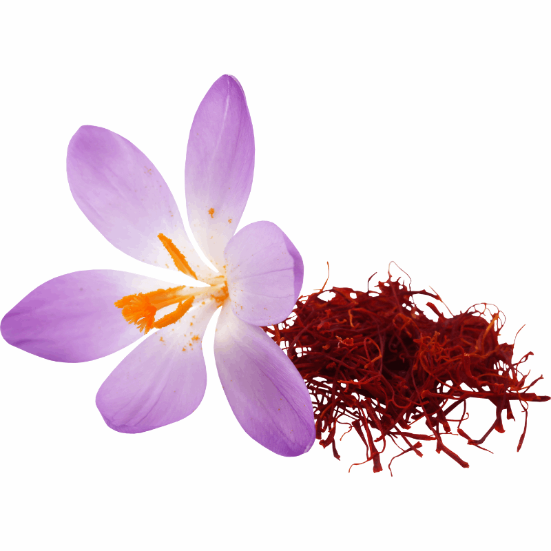 Kashmir Saffron