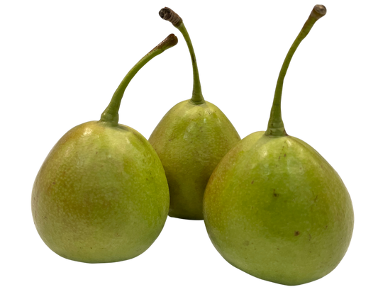 Pear - Kashmiri Nakh